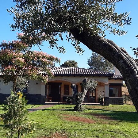 Hotel Rural - La Osa Mayor - 4 Estrellas Villasrubias Exterior foto